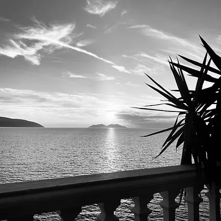 Brand New Sea View Apartment *
